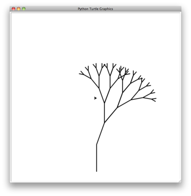 Screenshot of a computer window with the title ’Python Turtle Graphics’, depicting a partially completed fractal tree drawing. The graphic shows a black tree with a simple trunk that splits into several branching limbs and smaller branches, all rendered on a white background. The image visually represents the midpoint of a recursive drawing process in programming, with the tree structure becoming increasingly complex towards the top.