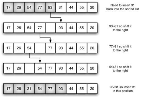 An educational illustration depicting the fifth pass of the insertion sort algorithm. The diagram shows a series of rows with numerical values in boxes, each row representing a step in the sorting process. Arrows indicate the shifting of numbers to make space for the correctly positioned value. Descriptive text accompanies each step explaining the movement required, such as ’93>31 so shift it to the right’ and ’Need to insert 31 back into the sorted list’. The final row shows the number 31 being inserted into its correct position in the sequence.