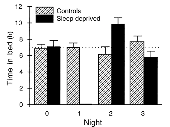 Introduction to the sleep deprivation study