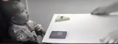 Infant choosing between helper and hinderer toys